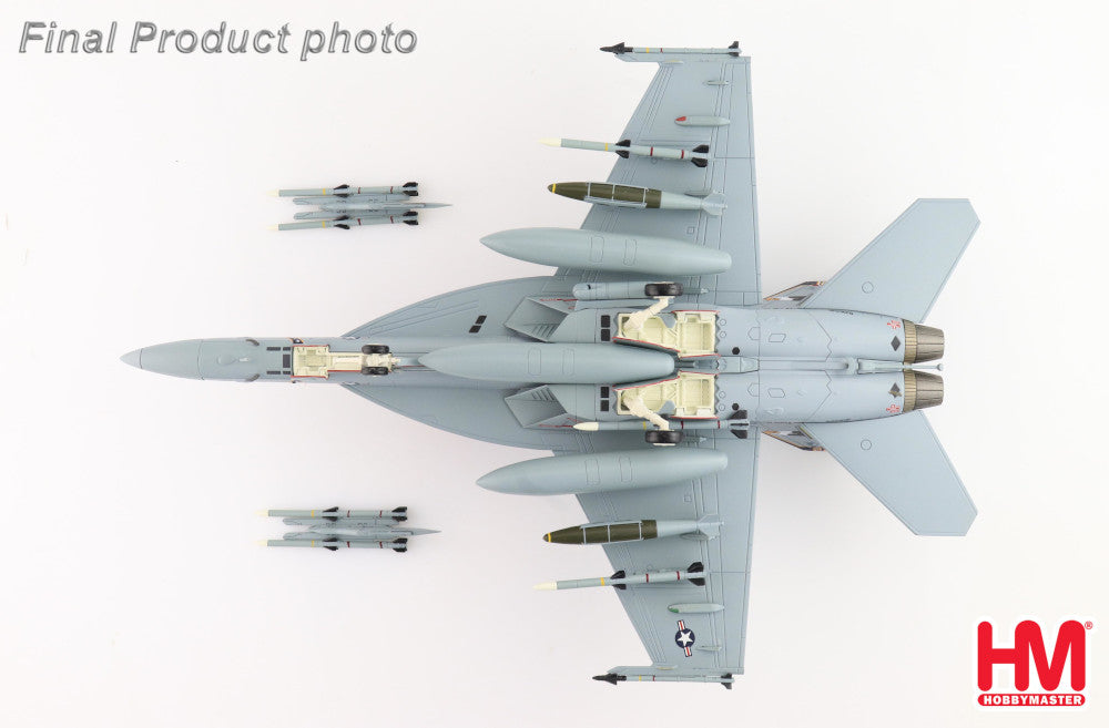 f-18 super hornet landing gear Boeing F/A-18F (F-18) Super Hornet VFA-122 "Flying Eagles" US NAVY